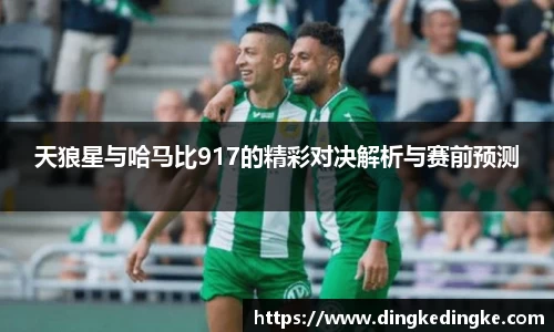 天狼星与哈马比917的精彩对决解析与赛前预测