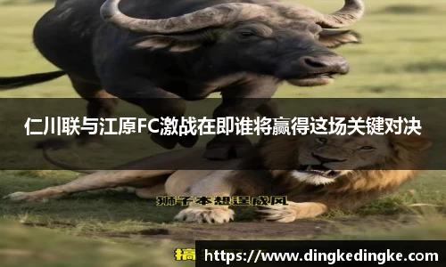 仁川联与江原FC激战在即谁将赢得这场关键对决