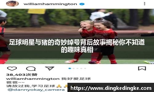 足球明星与猪的奇妙绰号背后故事揭秘你不知道的趣味真相
